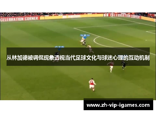 从林加德被调侃现象透视当代足球文化与球迷心理的互动机制