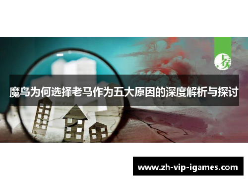 魔鸟为何选择老马作为五大原因的深度解析与探讨