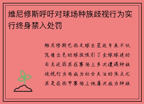 维尼修斯呼吁对球场种族歧视行为实行终身禁入处罚