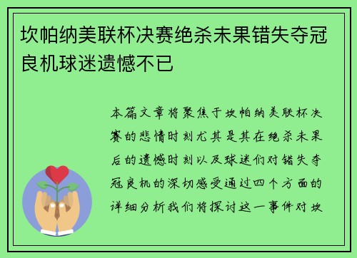 坎帕纳美联杯决赛绝杀未果错失夺冠良机球迷遗憾不已